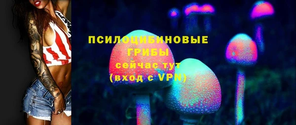 соль ск Бердск