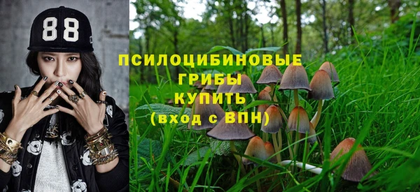 тгк Майский
