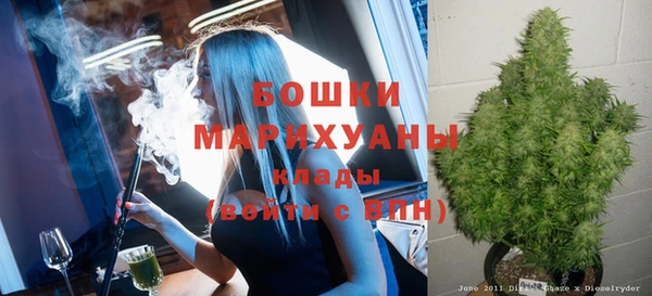 тгк Майский
