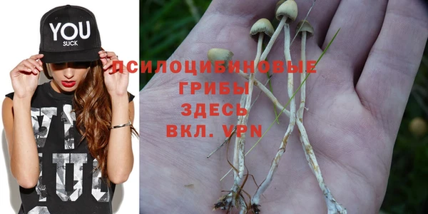 наркотики Михайлов