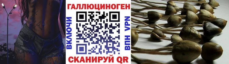 Галлюциногенные грибы Cubensis  Кувшиново 